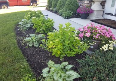 garden-planting-dinos-danbury-ct-landscaper