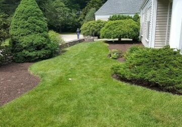 spring-fall-cleanup-services-danbury-ct